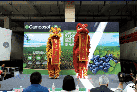 images/1724227633275Fruit and Vegetable Wholesale Market.png